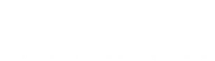 Fizik