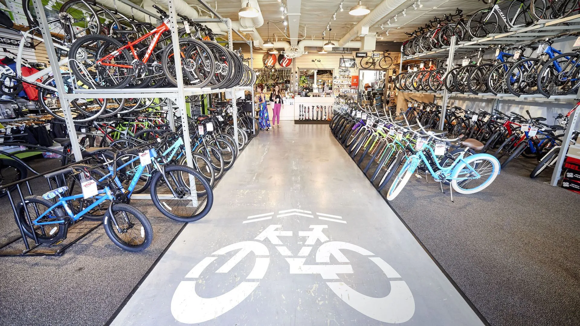 Sprocket Cycles showroom floor lined with road bikes
