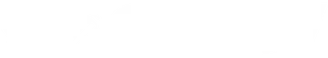 Sidi